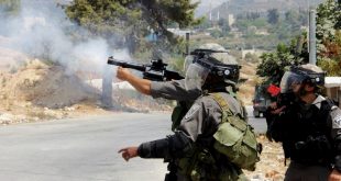 استشهاد 5 فلسطينيين بنيران الاحتلال الصهيوني