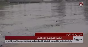 سورية تشهد وفرة مائية كبيرة نتيجة الامطار الأخيرة