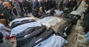 أكثر من 100 شهيد في مجزرة شارع الرشيد.. دبابات الاحتلال داست على أجساد الفلسطينيين