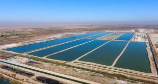 الموارد تعلن رفع 4 آلاف بحيرة أسماك متجاوزة في بغداد منذ بداية 2024