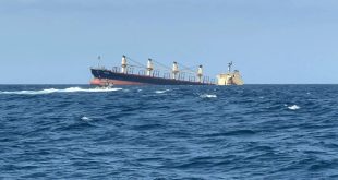 هجوم يستهدف سفينة تجارية قرب سواحل اليمن