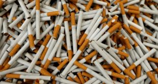 ارقام مرعبة.. الصحة العالمية تحذر من زيادة استهلاك المراهقين للسجائر والكحول