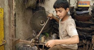 العمل: اتخذنا إجراءات صارمة للحد من ظاهرة عمالة الأطفال بالأسواق المحلية
