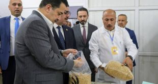 السوداني يعلن إطلاق الموسم التسويقي لمحصول الحنطة في العراق