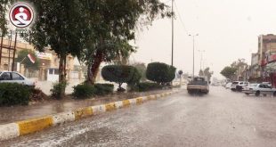 طقس العراق : أمطار رعدية وتصاعد للغبار الأسبوع المقبل