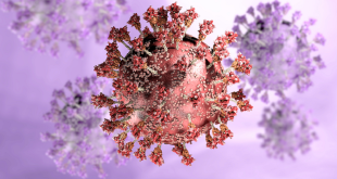 دراسة تكشف عن آلية هروب فيروس SARS-CoV-2 من جهاز المناعة