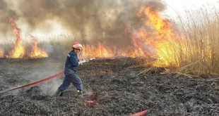 الدفاع المدني: سجلنا 5500 حادث حريق خلال الأشهر الخمسة الماضية