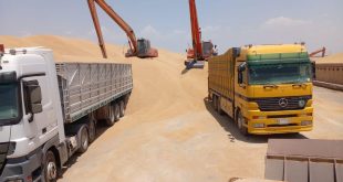 وزارة التجارة تعلن شراء 6 ملايين طن من الحنطة وتتوقع زيادة الكمية