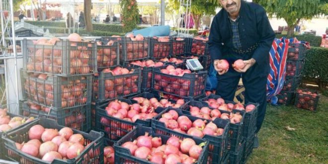 بالصور .. انطلاق فعاليات مهرجان الرمان في حلبجة