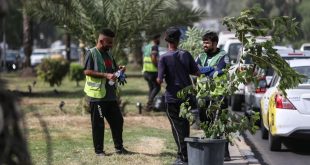 لمعالجة التصحر والتشجيع على التشجير.. ديوان الوقف الشيعي يطلق مبادرة الحديقة المدرسية