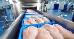 الزراعة توقف استيراد الدجاج منتصف الشهر المقبل