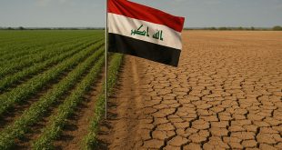 توجه حكومـــي لإعداد مشاريع لمعالجة ملف التصحر في العـــراق