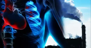 دراسة: تلوث الهواء يهدد القلب بصمت