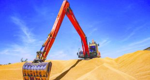 التجارة تنفي وجود آلية خاصة لتسلم الحنطة وتؤكد إغلاق الموسم التسويقي 2025