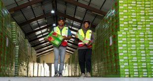 التجـــارة تكشف عن منظومة تخزين استراتيجية لتحقيق الأمن الغذائــــــي