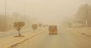 الأنواء الجوية تحذر من موجات غبار وانخفاض الرؤية غدًا