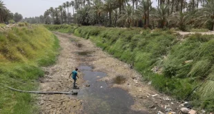 لجنة الزراعة النيابية: العراق لا يزال بعيداً عن خط الأمان المائي والموجة المطرية “محدودة”