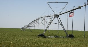 لمواجهة التغيرات المناخية.. الزراعة تعلن تنفيذ مشروع جديد لإدارة المياه