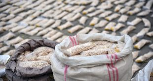 القبض على تاجري مخدرات دوليين وضبط 51 كغم من المخدرات في ديالى والبصرة