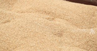 وزير التجارة يوجه بإطلاق الوجبة الأولى من الحبوب للمطاحن