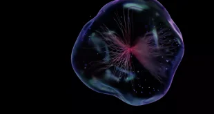 دراسة: الخلايا البشرية قد تولد الكهرباء ذاتيا