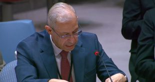 ممثل العراق: استقرار سوريا ركيزة أساسية لأمن العراق والمنطقة