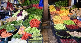 الزراعة: إجراءات لتنظيم الاستيراد وحماية المنتج المحلي