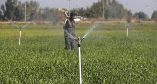 الزراعة: بطاقة المزارع الإلكترونية ستحدد حاجة المياه وتسهل منح القروض
