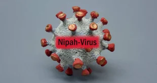 منظمة الصحة العالمية : عدوى فيروس “نيباه” قد تكون بدون أعراض