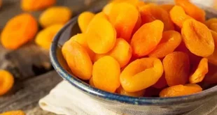 بـ24 مليون دولار خلال 2025.. العراق يستورد مشمشاً مجففاً من تركيا