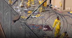 القضاء يعلن اطلاق سراح أكثر من 40 ألف مسجون بقانون العفو