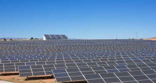 البنك المركزي يقلّص فائدة قروض “الطاقة الشمسية” إلى 2.5%