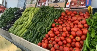 الزراعة تؤكد استقرار أسعار الخضر وعدم تسجيل أي ارتفاعات