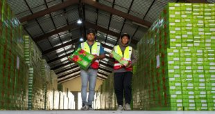 التجارة: إجراءات رقابية لمتابعة أسعار المواد الغذائية للحد من ارتفاعها