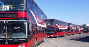 النقل: تخصيص أكثر من (350) باصاً حديثاً لخدمة زوّار الزيارة الرجبية