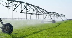 الزراعة النيابية: الري الحديث سبيلنا لتجنب شبح نقص المياه