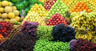 الزراعة تمنع دخول 16 محصولاً زراعياً من إقليم كردستان