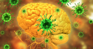 الصحة العالمية: خطر الانتشار الدولي لفيروس نيباه منخفض