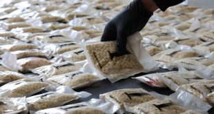 شؤون المخدرات: ضبط 300 ألف حبة مخدرة واعتقال تاجرين دوليين بعملية داخل سوريا
